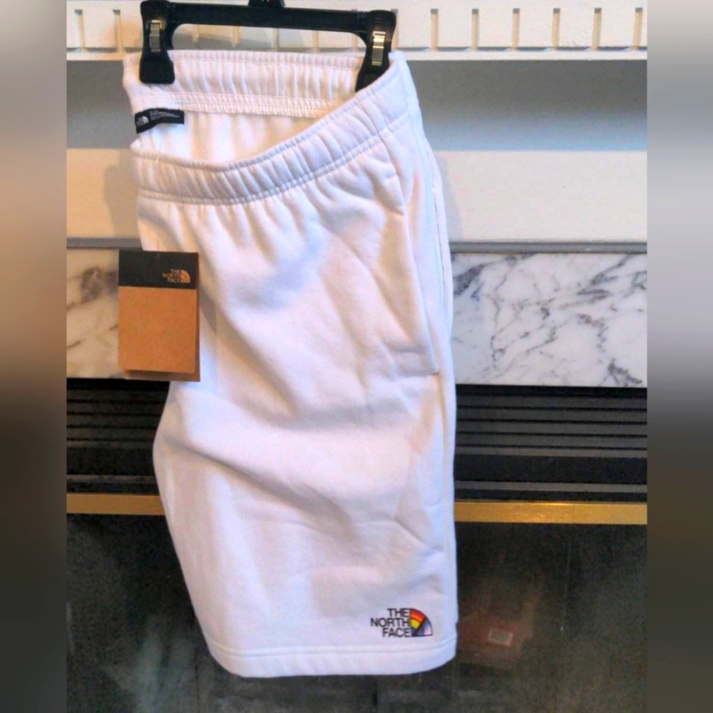 The north face shorts
